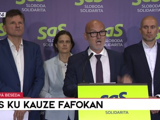 Tlačová beseda SaS ku kauze Fafokan