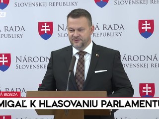 Tlačová beseda: S. Migaľ k hlasovaniu parlamentu