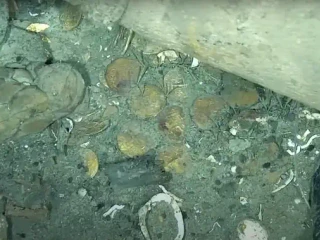 Rozprávkové bohatstvo: Na potopenej lodi našli poklad v hodnote miliárd dolárov