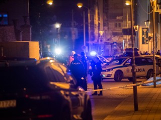 Primárnym cieľom vraha zo Zámockej ulice bol premiér Heger, uviedol Hamran