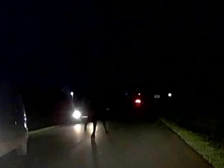 Auto ťahalo za sebou koňa. Ľudia neverili vlastným očiam