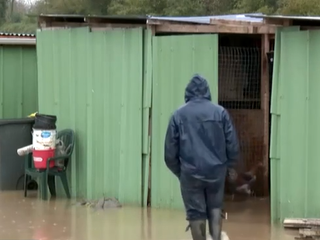 Povodne ruinujú francúzskych farmárov. Očakávajú aj šírenie chorôb