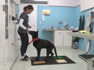 Nevedel sa postaviť na nohy, dnes robí pokroky. Príbeh Ravena dojíma