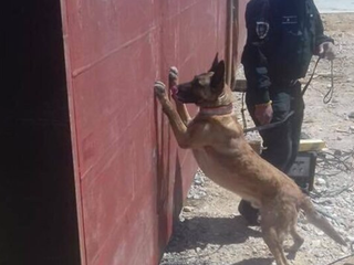 Na Slovensku objavili zrejme najväčší kontraband drog za posledné roky