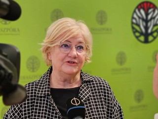 Maďarsko sa pre slovenský zákon o Benešových dekrétoch obrátilo na Brusel