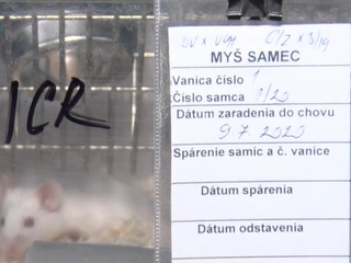 Týždeň od prvých testov ruskej vakcíny Sputnik v Šarišských Michaľanoch. Vedci už poznajú výsledky