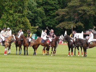 Jazdecké polo hrajú aj Slováci. Husto a dobre!
