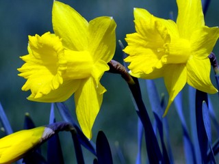 Teplota môže aj nemusí vírus spomaliť. Vyjadrujú sa odborníci