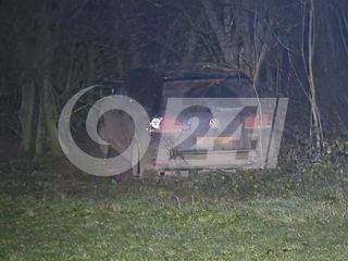 Vodič s kriminálnou minulosťou po policajnej naháňačke narazil do stromu a skolaboval