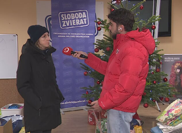 Rozhovory 24: Prečo pes nepatrí pod stromček?