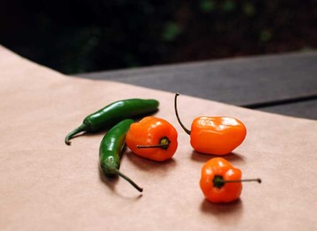 Aj oči by jedli: Týchto 10 potravín je výborných pre váš zrak