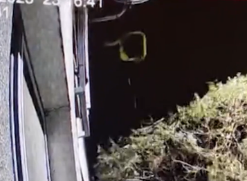 Fekálie visia aj na strome. Chlap vylieva z balkóna výkaly rovno pred bytovku a susedia sú zúfalí