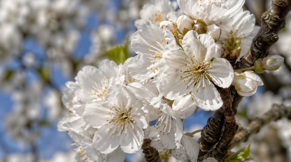 Niektoré choroby sa vracajú na jar i jeseň. Viete, ktoré sú "sezónne diagnózy"?