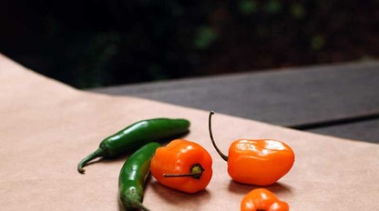 Aj oči by jedli: Týchto 10 potravín je výborných pre váš zrak