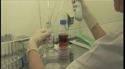 Silná alergia už nemusí ohrozovať váš život: Záchranou je imunoterapia