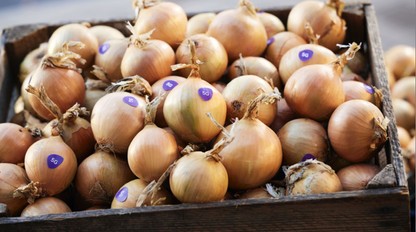 5G cibuľa je tu: Testy ukázali, že je oveľa chutnejšia ako bežná