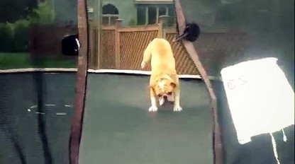Traumatológovia: Úrazy detí na trampolínach sa množia.  Toto je 7 vecí, ktoré pri skákaní nedovoľte!