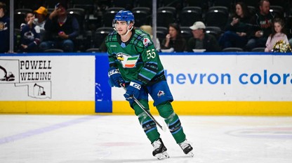 JEDLIČKA konečne bodoval v nižšej AHL