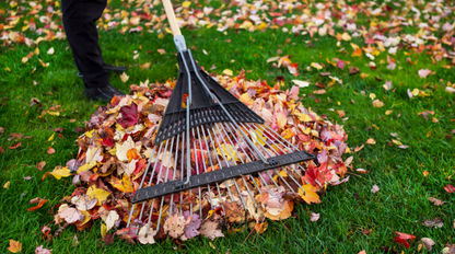 Poradíme, AKO pripraviť záhradu na zimu