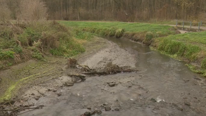 Rybári zachraňovali ryby po tom, ako vodohospodári znížili vodnú hladinu