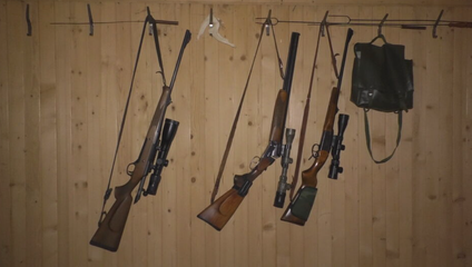 Zo zvierat si urobili živý terč. Neznámi strieľali na psy pri domoch