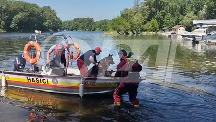 Rozbehlo sa rozsiahle pátranie po 23-ročnom mužovi, prehľadávajú aj rieku Váh
