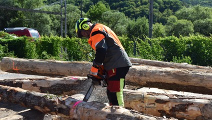 Lesného robotníka pri výrube zavalil kmeň stromu. Utrpel vážne zranenie