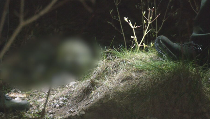 Mrazivý objav počas prechádzky: Kostra ležala v lese minimálne tri roky