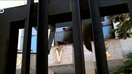 Za útok na Ruský dom v Prahe hrozí mužovi (57) osem rokov väzenia