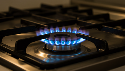 Web s energopomocou frustruje občanov: Saková priznáva, že problém má 20-tisíc domácností