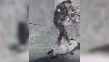 Policajt na záberoch kope do ležiaceho mladíka. Video obletelo sociálne siete