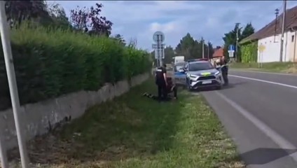 Dramatická naháňačka cez obce: Motorkár s alkoholom v krvi sa pred políciou ukryl v kroví