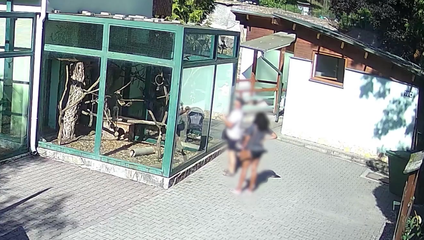 Návštevníci kŕmia zvieratá hotdogmi, langošmi aj pečivom. V ZOO Bojnice zvyšujú kontroly