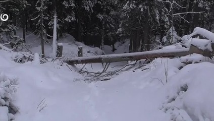 Jar sa v Tatrách odkladá: Lavínové nebezpečenstvo opäť stúpa