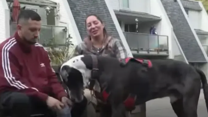 Mužovi s cukrovkou odmietli nástup do lietadla pre jeho psa. Aerolinky mu ponúkli letenku za tisíce eur