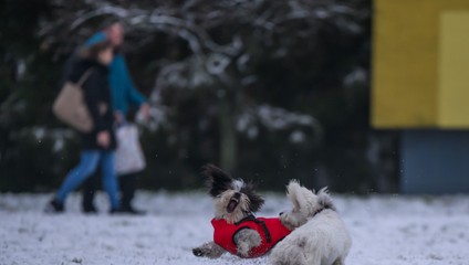 Čoskoro sa prebudíme do zasneženej krajiny. Zmena počasia prinesie aj náhly pokles teplôt