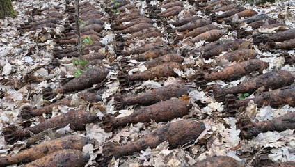 Pyrotechnici zasahovali hodiny: V lese našli 180 funkčných mín