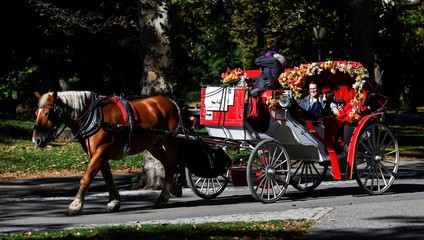Koniec legendárnej atrakcie v New Yorku? Mesto schválilo zákaz konských povozov