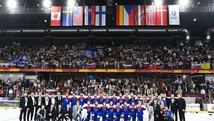 SME VICEMAJSTRI SVETA