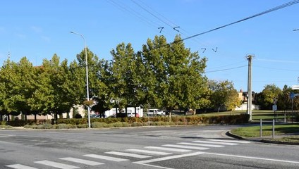 Opitá vodička zrazila 86-ročnú seniorku na priechode pre chodcov. Nafúkala 1,35 promile
