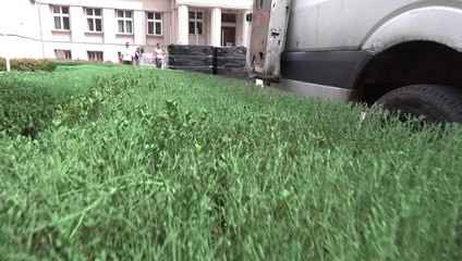 Namiesto výmeny prišla farba. Živý plot pred Maticou slovenskou sa stal atrakciou mesta