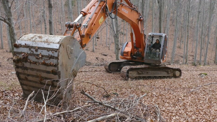 Lesné vodozádržné opatrenia dokážu absorbovať milióny litrov vody a znižujú riziko záplav