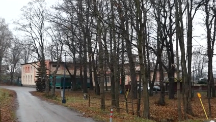 Diana po útoku skončila v kóme a podľahla zraneniam. V prípade padlo obvinenie
