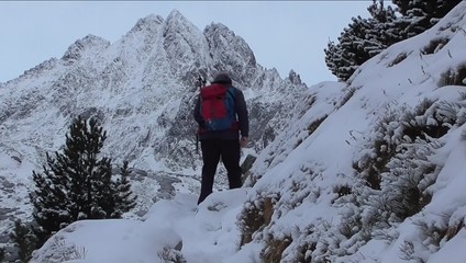 Vzácne lesy v ohrození: ochranári kritizujú novú zonáciu národných parkov