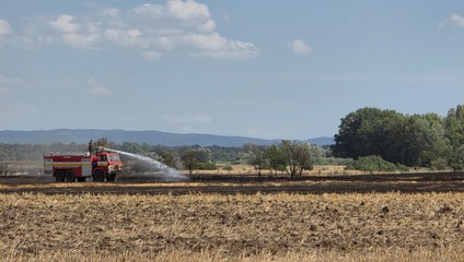 Malý požiar sa zmenil na rozsiahly: Na Záhorí s ním bojovali desiatky hasičov
