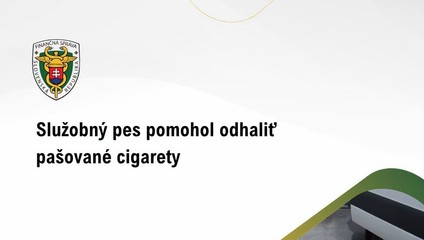 Pes na hraniciach odhalil podvod: Tisíce cigariet ukrytých v kamióne
