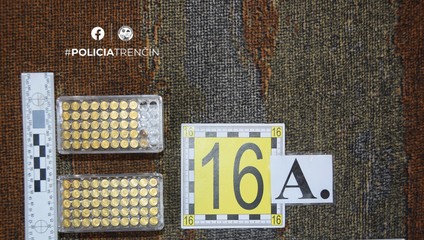 Policajná akcia Chalupa odhalila nelegálne zbrane a doplnky, obvinili 61-ročného muža