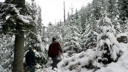 Hmla neustupuje, no prichádza zlom. Dočkáme sa bielych Vianoc?