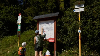 Jedlo v ruksaku ani voňavka medveďa neprilákajú. Táto častá chyba však môže
