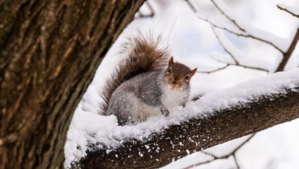 Po suchu a hmle je tu zmena. V týchto oblastiach uvidíte prvé snehové vločky